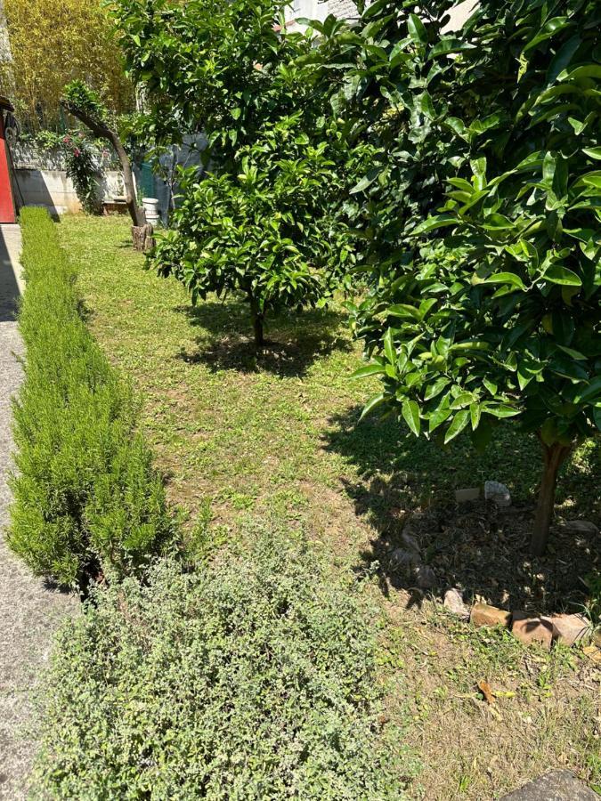 Holiday Home Vesna بودفا المظهر الخارجي الصورة