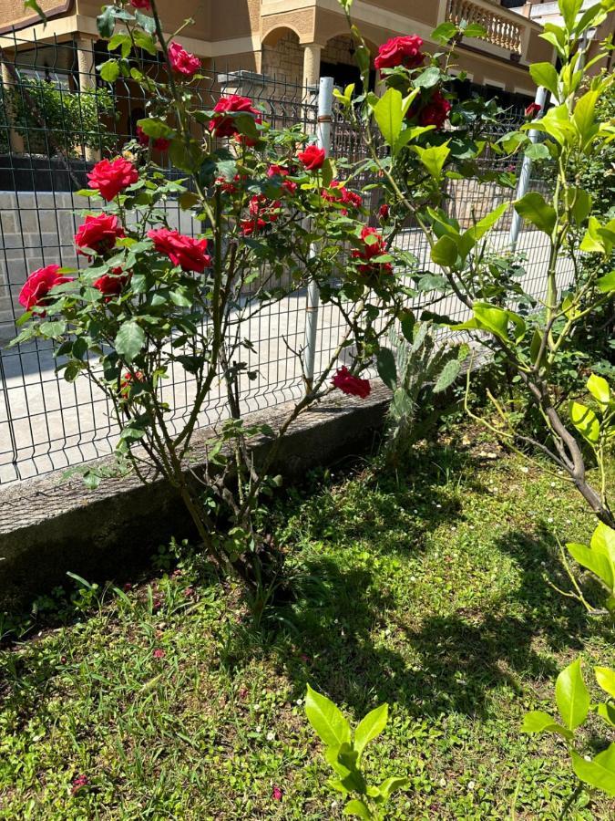Holiday Home Vesna بودفا المظهر الخارجي الصورة